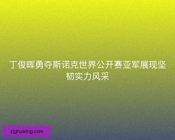 丁俊晖勇夺斯诺克世界公开赛亚军展现坚韧实力风采