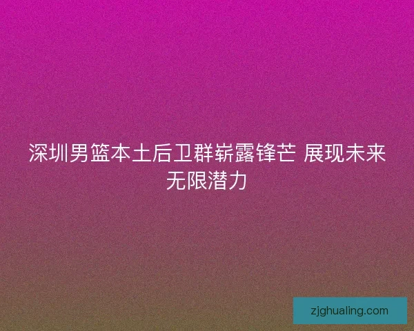 深圳男篮本土后卫群崭露锋芒 展现未来无限潜力 深圳男篮本土后卫群崭露锋芒 展现未来无限潜力
